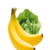 banana-image